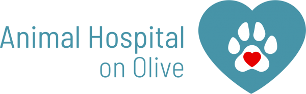 Animal Hospital on Olive